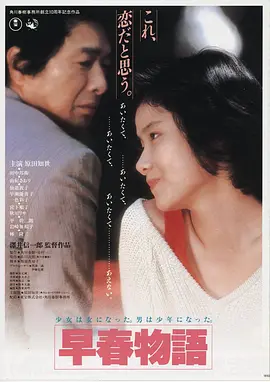 雾港疑云海报